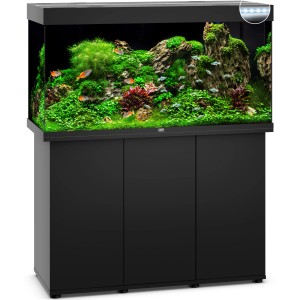 Schwarzes Juwel Aquarium Rio LED SBX 350 l mit Unterschrank und Fischen.