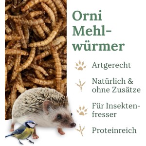 Orni Mehlwürmer Insektenfutter für Wildvögel