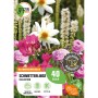 GROW by OBI Schmetterlinge-Kollektion, Blumenzwiebeln mit rosa, pinken und weißen Blüten.