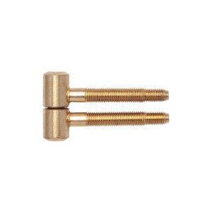 Sfs Einbohrband für Futtertüren, vermessingt, ø 16 mm. Robustes Türband aus Stahl mit Zylinderkopf.