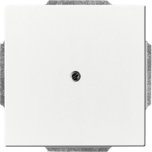 Busch-Jaeger Blindzentralschalter 1742-84, Future Linear, studioweiß, mit Tragring.