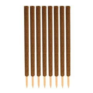 8 braune Kokos-Pflanzstäbe, 110cm, mit spitzem Holzende. Ideale Rankhilfe für Monstera und Zimmerpflanzen.