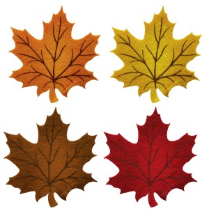 4er-Set Filz-Untersetzer in Ahornblatt-Form, verschiedene Farben.