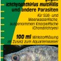 Sera Costapur F 100ml: Heilmittel gegen Weißpünktchenkrankheit und andere Parasiten im Aquarium.
