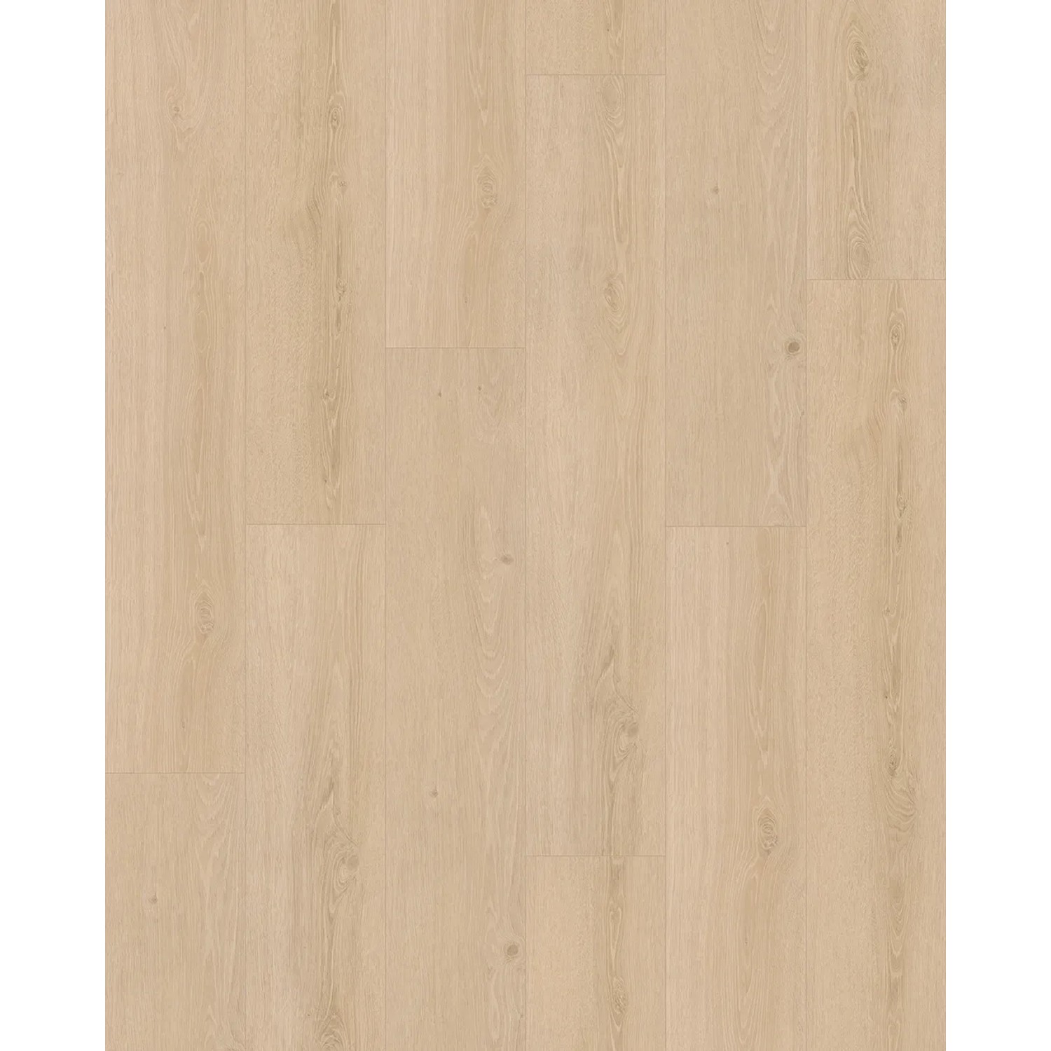 Parador Vinylboden Basic 5.3 Eiche Studioline geschliffen, helle Holzoptik.