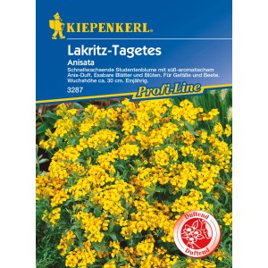 Kiepenkerl Lakritz-Tagetes Anisata: Gelbe Studentenblume mit Anisduft für Beet und Topf.