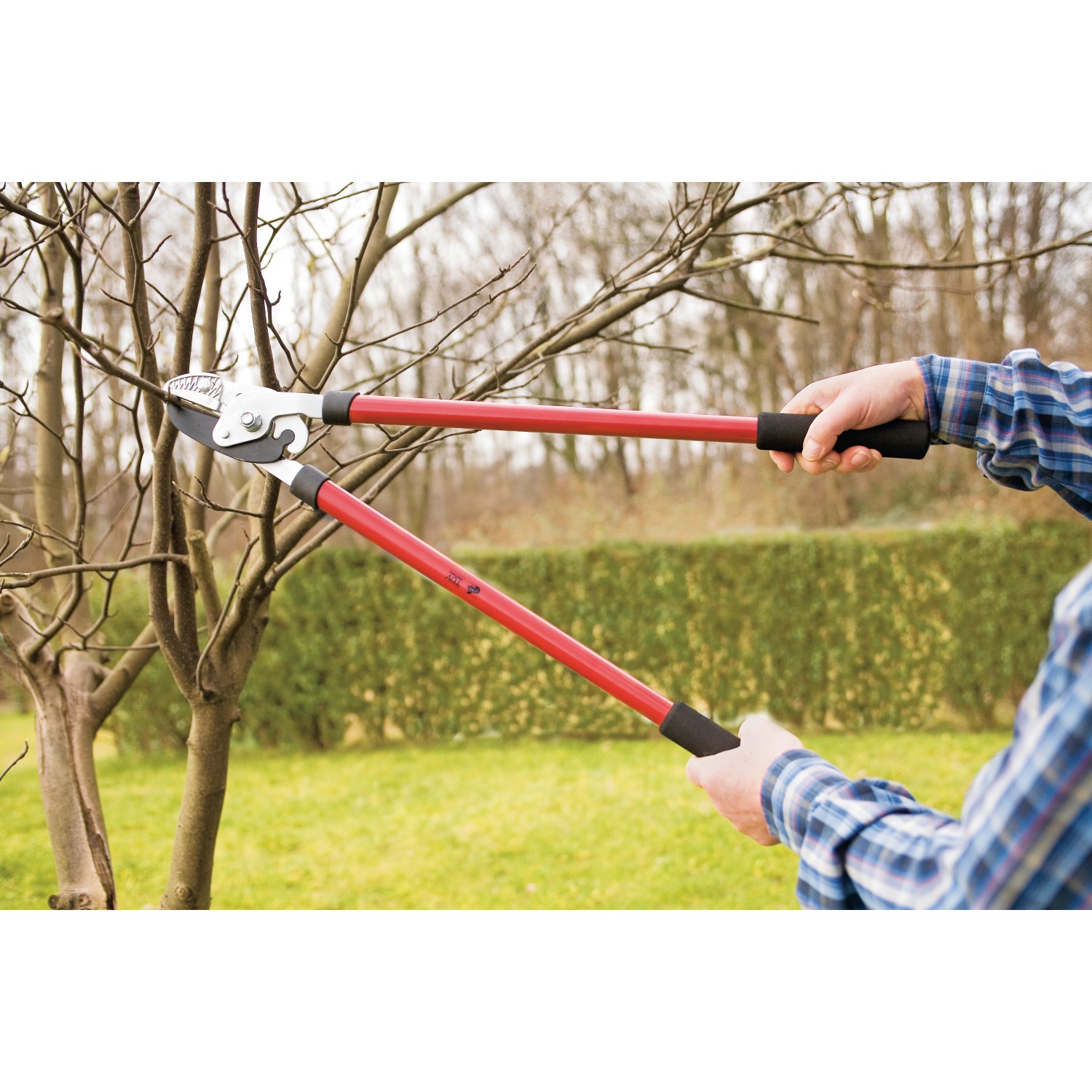 LUX Amboss Astschere in Nutzung: Eine Hand schneidet einen Ast. Gartenschere mit roten Griffen.