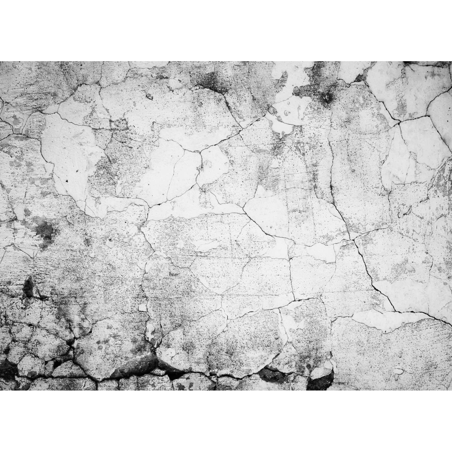Fototapete Betonwand Putz Industrial Grau Schwarz 3,50 m x 2,55 m FSC®