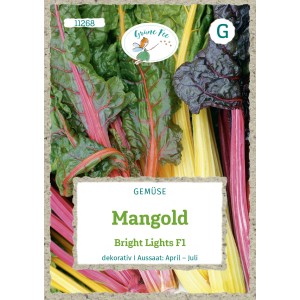 Grüne Fee Mangold Bright Lights F1 Saatgut mit bunten Stielen.