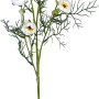 Kunstblume Ranunkel in Creme, 74 cm hoch, für eine stilvolle Deko im Wohnbereich.