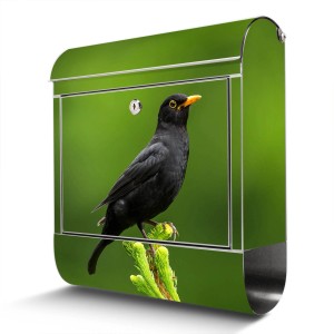 Edelstahl Briefkasten mit Vogel Motiv auf Tannenzweig und Zeitungsfach.