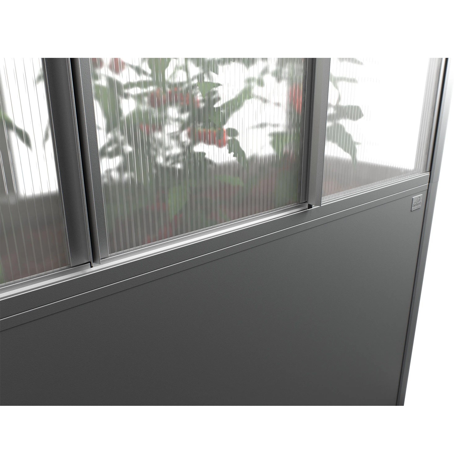 Modernes Biohort Gewächshaus Florentina Midi, dunkelgrau-metallic, mit transparenten Paneelen und Pflanzen.