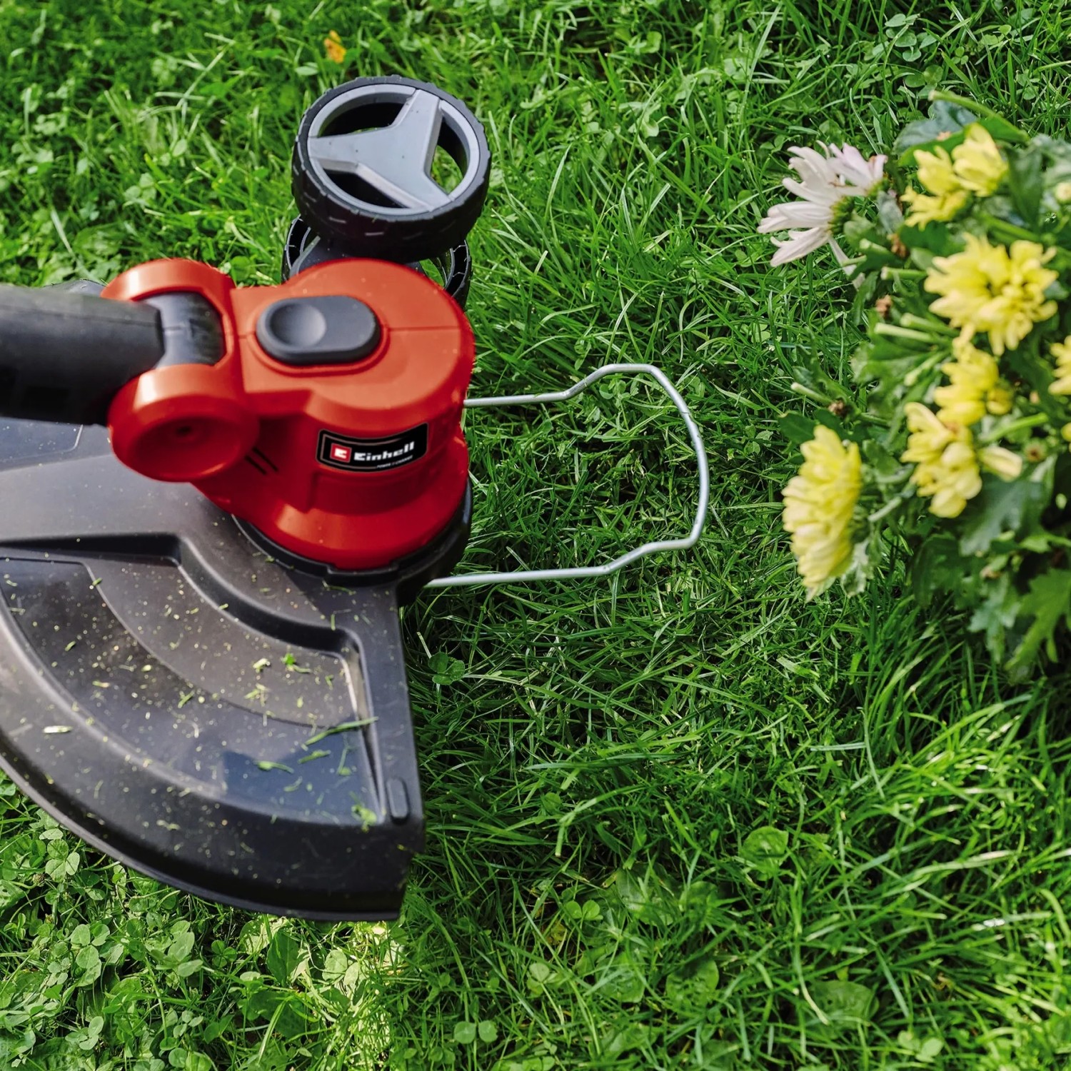Einhell Akku-Rasentrimmer GE-CT 18/30 Li-Solo im Einsatz auf Rasen mit Blumen.