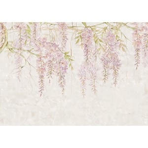 Komar Vlies Fototapete Wisteria (400x280 cm) mit zarten, lila Blüten.