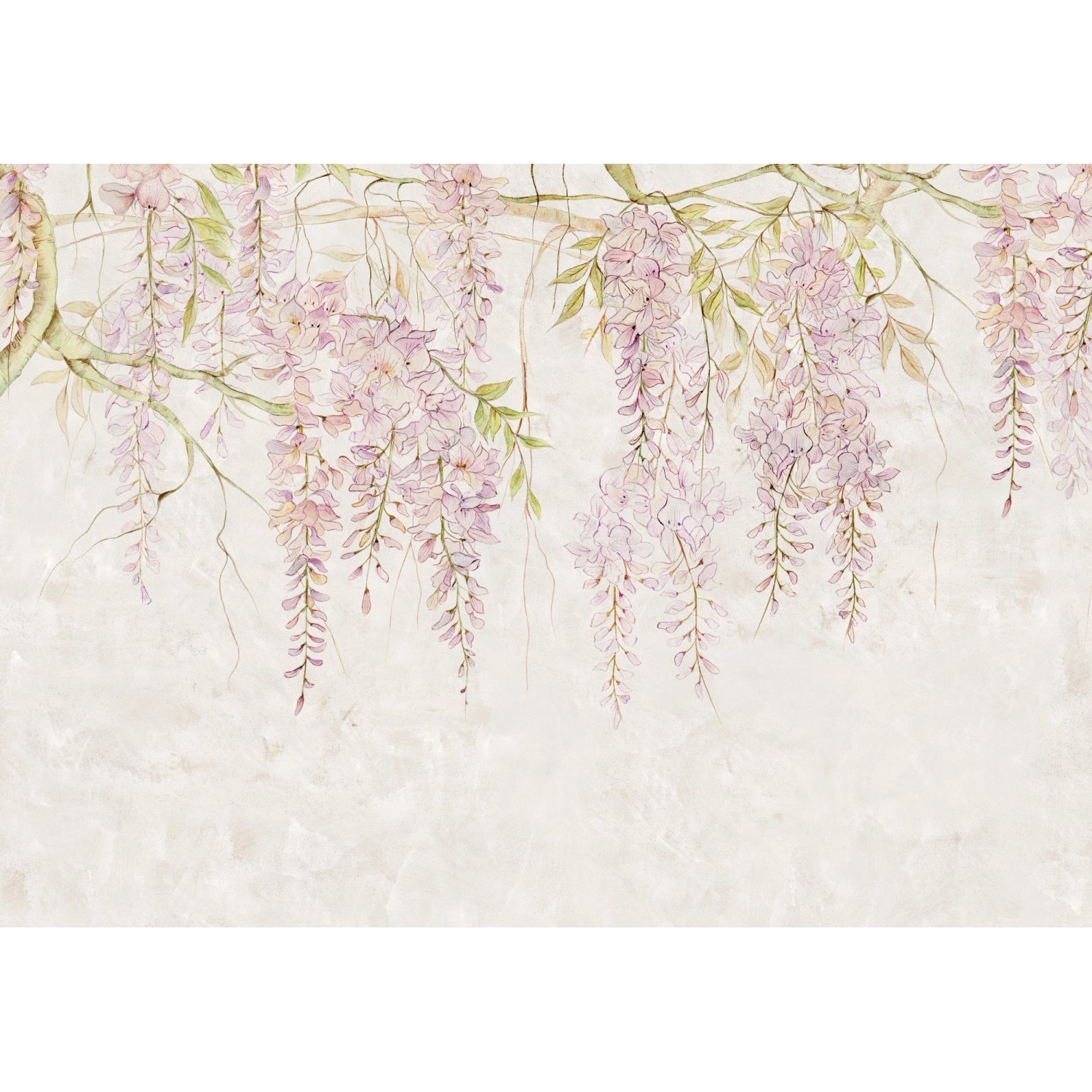 Komar Fototapete Vlies Wisteria  400 x 280 cm