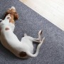 Primaflor Sauberlauf Picollo Teppichläufer in GrauBlau mit Hund