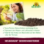 Neudorff Beerenobst-Erde: Frau erntet Erdbeeren, Erde im Vordergrund. Ideal für aromatische Beeren.