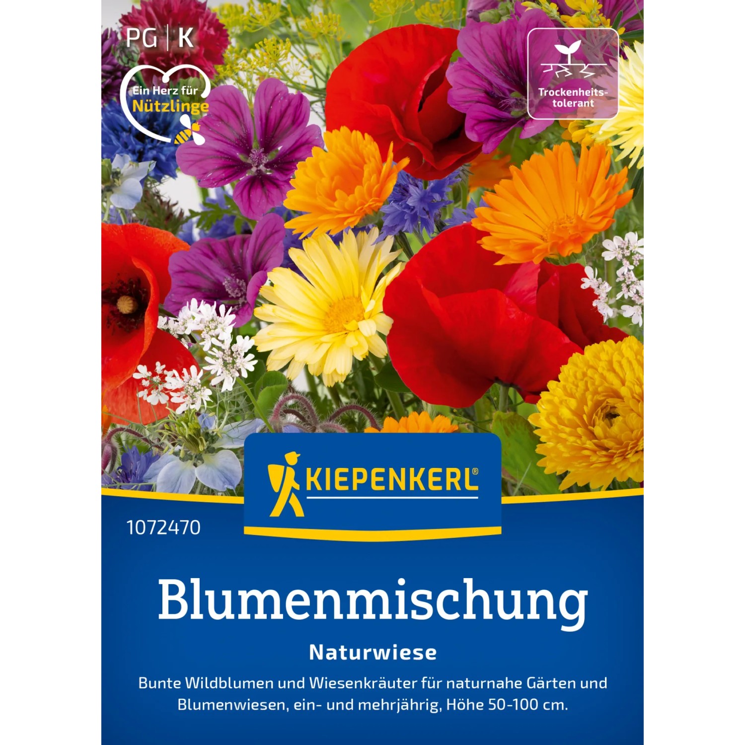 Kiepenkerl Bienenweide Naturwiese Grn kaufen bei OBI