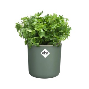 Elho Kräutertopf Happy Herbs, Ø 14 cm, laubgrün, mit Petersilie bepflanzt.