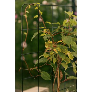 Upyard Modulares Rankgitter 120 cm x 25 cm Schwarz