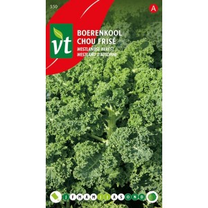 Grünkohl Westland Herbst SamenCa. 2 grGeeignet für den Herbstanbau