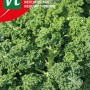 Grünkohl Westland Herbst SamenCa. 2 grGeeignet für den Herbstanbau