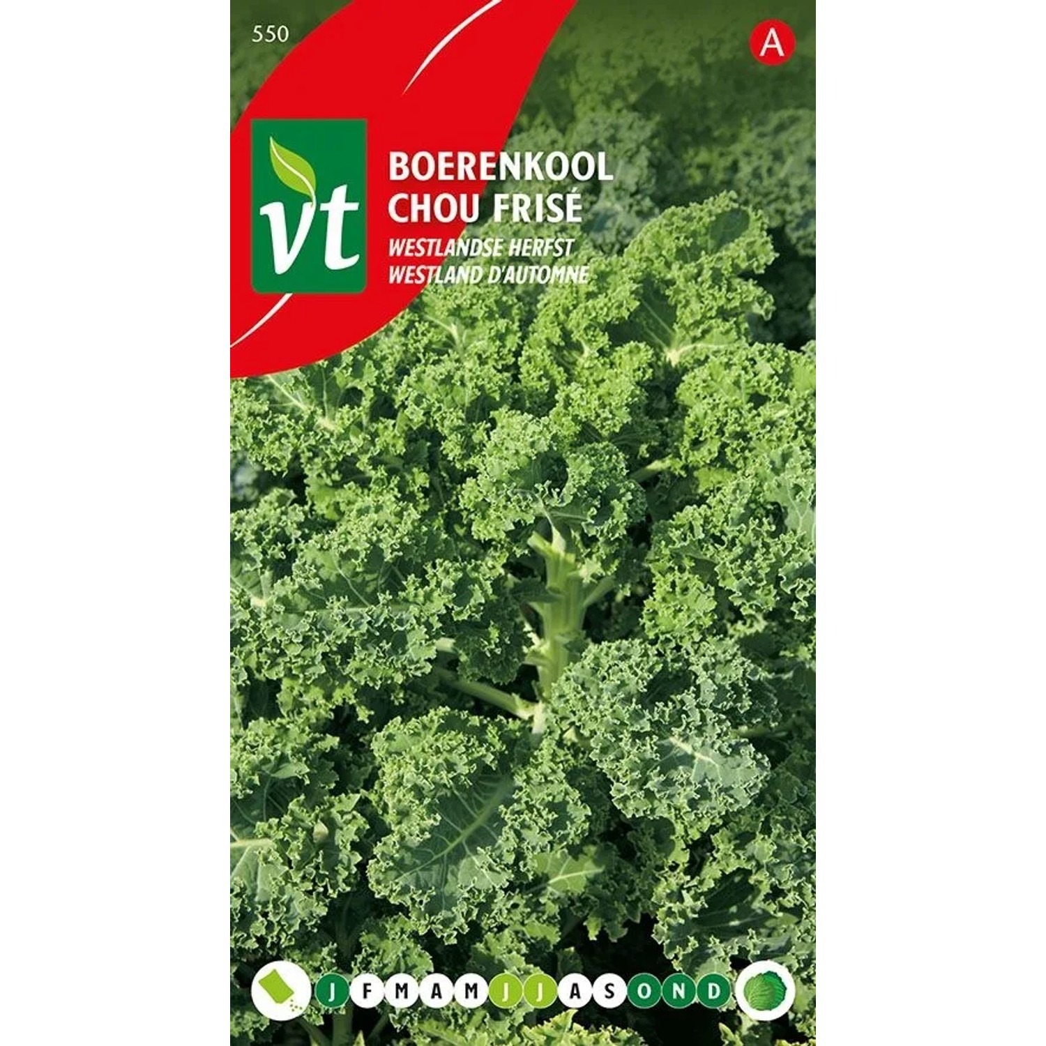 Grünkohl Westland Herbst SamenCa. 2 grGeeignet für den Herbstanbau