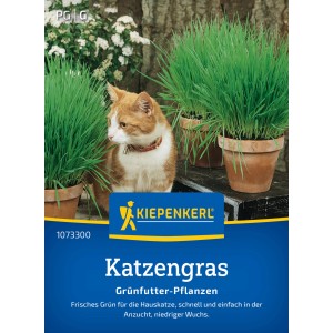 Kiepenkerl Katzengras mit Katze und Töpfen auf der Verpackung.