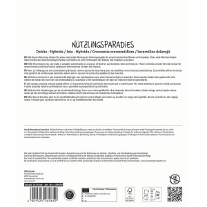 Sperli Blumenzwiebeln Nützlingsparadies Maxi Pack: Mischung aus Dahlien, Gartengloxinien und Ixie Giant.