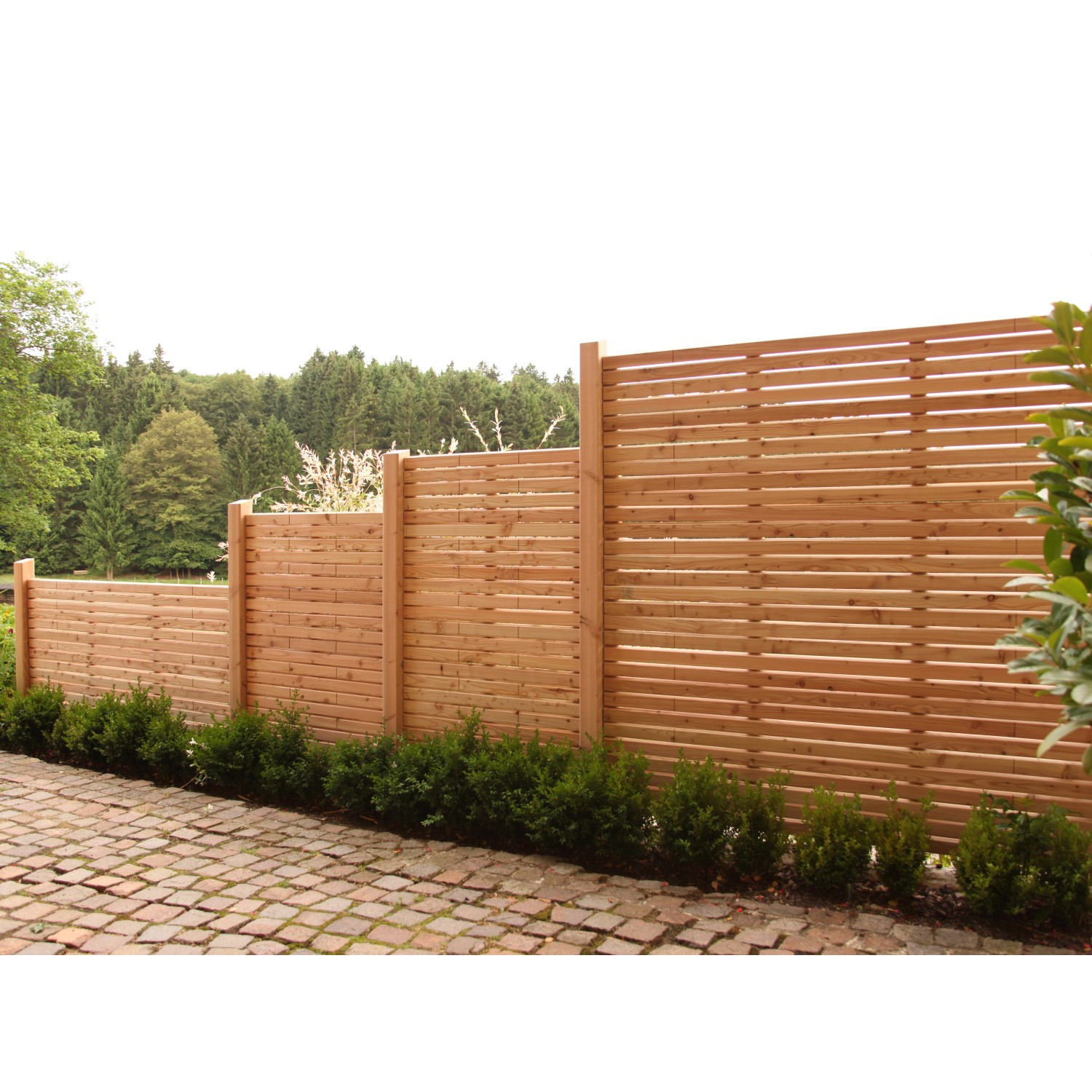 SichtschutzzaunElement Rhombus Lärche Natur 90 cm x 120 cm kaufen bei OBI