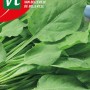 Sauerampfer Van Belleville SamenCa. 3 grHoher Gehalt an Vitamin C
