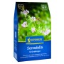Kiepenkerl Gründünger Serradella, 400g Packung mit Blüte und Biene.