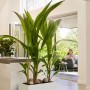 Weißer Elho Blumentopf Vivo Next Lang (59 cm) mit Rollen und Bepflanzung im modernen Wohnraum.