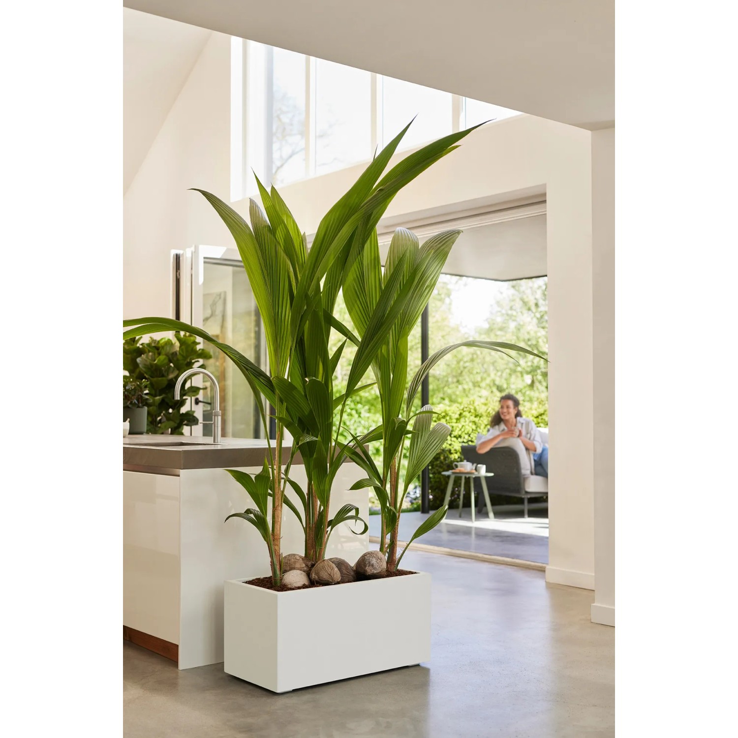 Weißer Elho Blumentopf Vivo Next Lang (59 cm) mit Rollen und Bepflanzung im modernen Wohnraum.