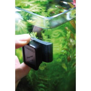Nano Alginator 2500 Scheibenreiniger im Einsatz zur Algenbekämpfung im Aquarium.