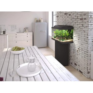 Tetra Aquarium mit schwarzem Unterschrank Starter Line 105 l im Wohnraum.