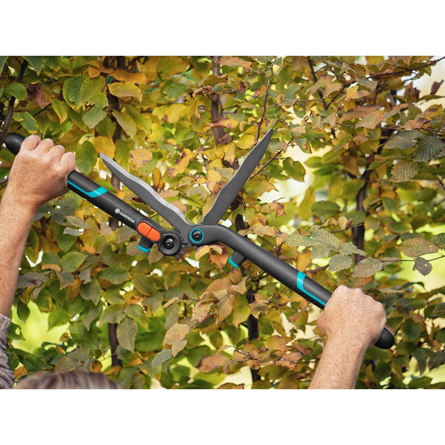 Gardena EnergyCut 2in1 Hand-Heckenschere beim Heckenschnitt. Schwarz-türkis mit orangenem Knopf.