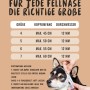 Größentabelle für Rudelkönig Zugstopphalsband: Anleitung zum Messen des Kopfumfangs für die richtige Größe.