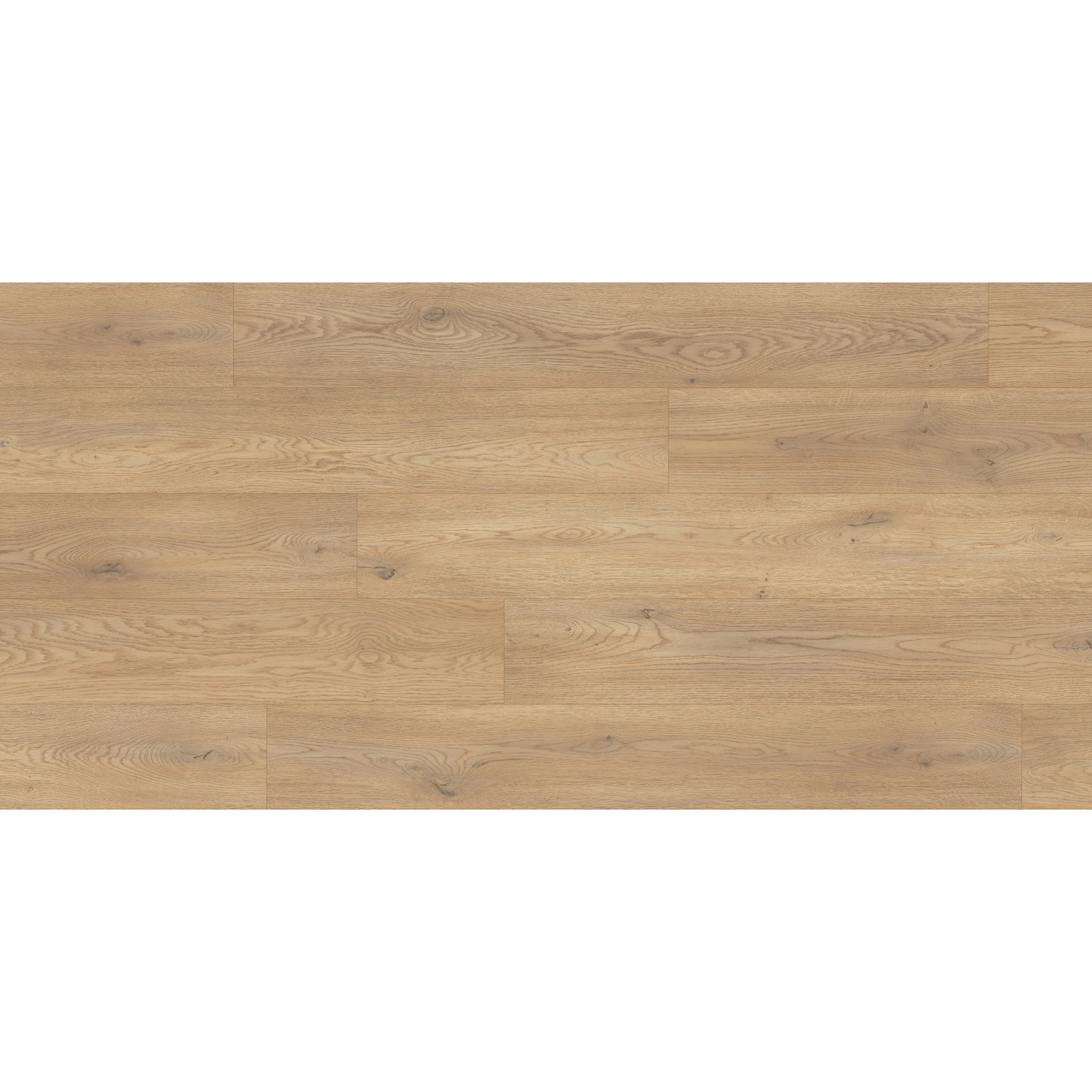 Kaindl Masterfloor XPT Laminat 8 mm Wasserfest Eiche Cremona Torro