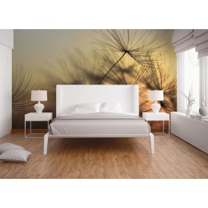 Fototapete mit Pusteblumen in Orange und Gelb im Schlafzimmer, 3,50x2,55m.