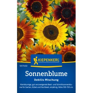 Kiepenkerl Sonnenblume Debilis Mischung, verschiedene Farben.