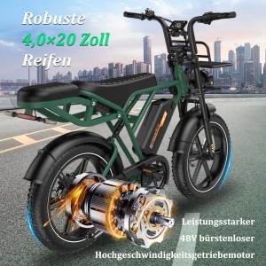 RCB G19 E-bike 20×4,0Zoll 22,5Ah Akku Reichweite 120-130KM 250W 7-Gang APP NFC
