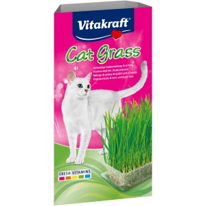 Vitakraft Katzengras 120g: Keimschale mit frischem, grünem Gras für Katzen.