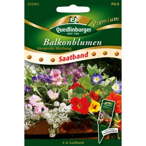 Quedlinburger Balkonblumen Saatband, hängende Mischung mit bunten Blüten für Balkonkästen.