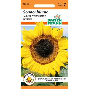 Samenpackung Sonnenblume Gigant: Gelbe Riesenblüte für Garten & Vogelfutter.