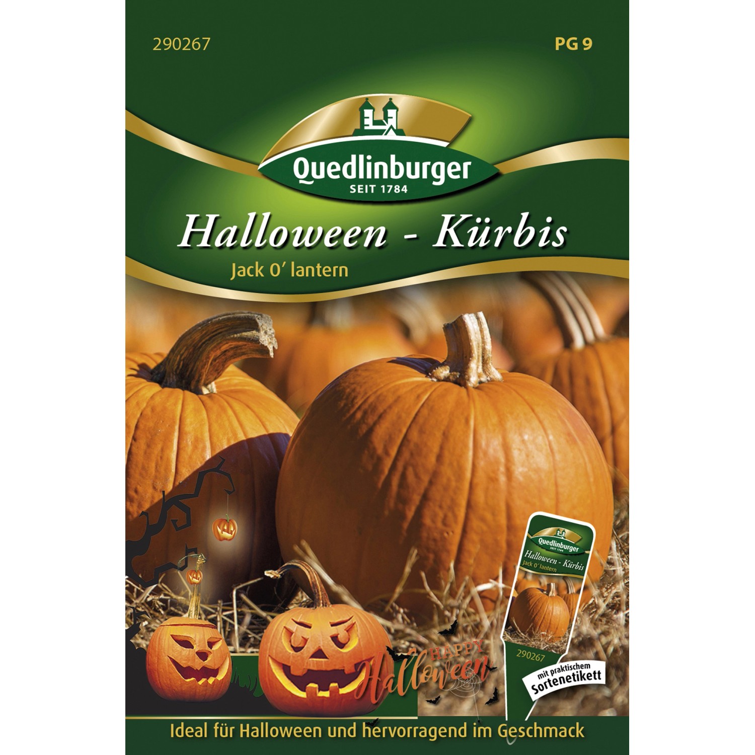 Quedlinburger Halloween-Kürbis ''Jack O''Lantern'' günstig online kaufen