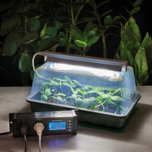 Romberg Thermostat HortiSwitch zur Steuerung von Heizmatte und Pflanzenbeleuchtung im Anzuchtkasten.