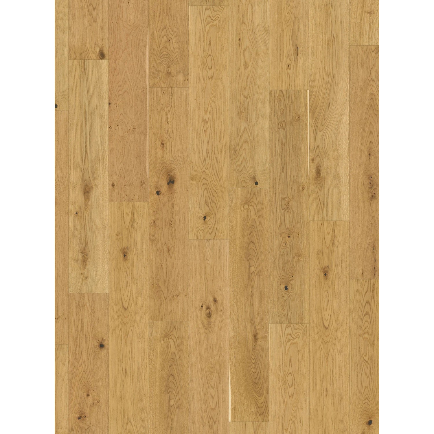 Parador Parekttmuster Aktionsparkett Eiche Lackiert Matt