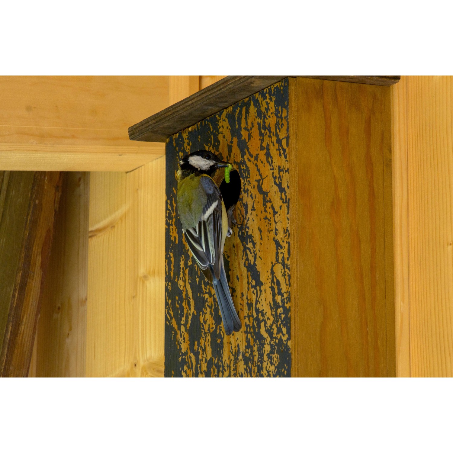 STANLEY PROTO Ratsche 1/2 Zoll Antrieb – Klassischer Birnenkopf, 25,4 Cm Länge, Schwarzes Oxid-Finish