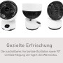 Vornado Tischventilator X4-Life Pinguin DX Weiß in verschiedenen Ansichten.